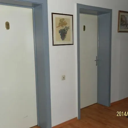 Guest house Am Theater 2*